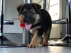 Meet your Posher, Jay